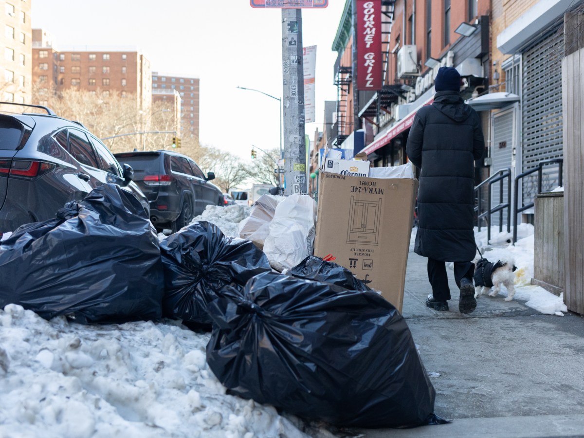 Piles of trash sat in the snow along Lafayette Avenue in Brooklyn,