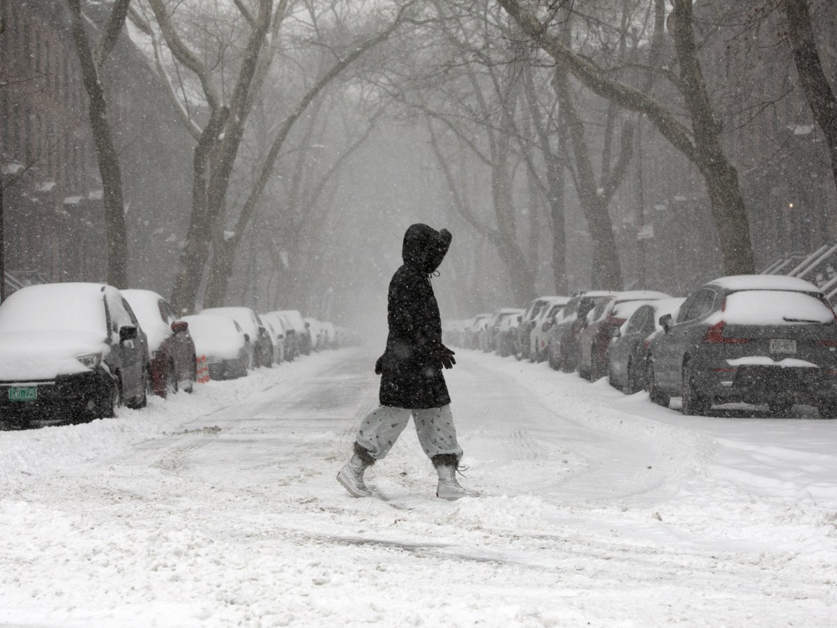 People brave a heavy snowstorm in Fort Greene, Brooklyn