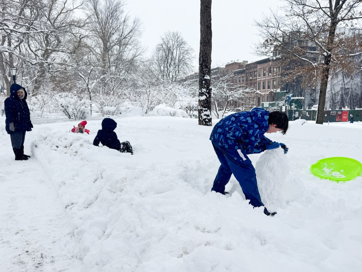 Children play in Fort Greene Park during a snow day,