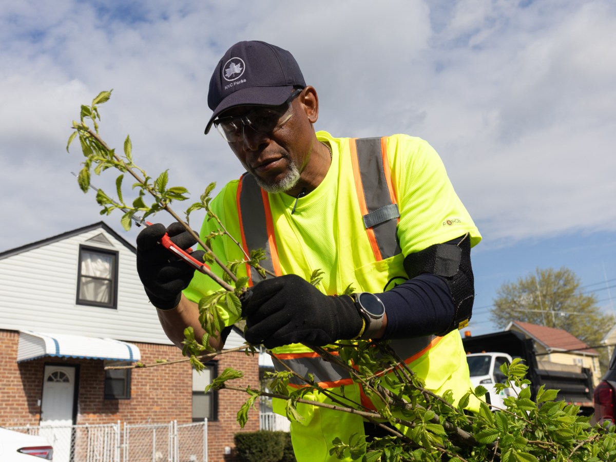 Parks worker Lawrence Anthony prepares to plant a tree in an eastern Queens residential neighborhood,