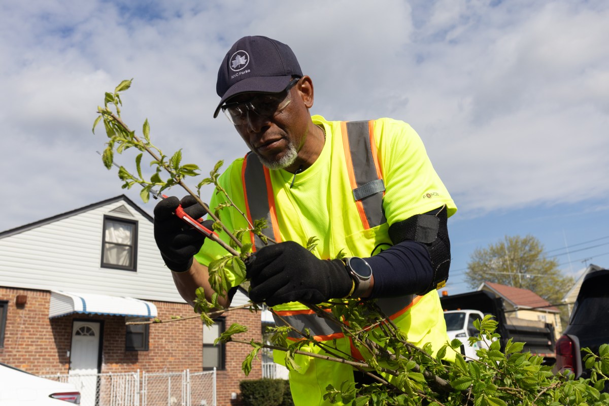 Parks worker Lawrence Anthony prepares to plant a tree in an eastern Queens residential neighborhood,