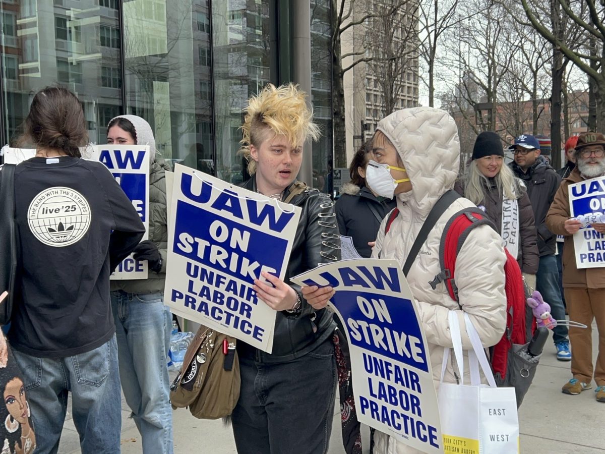 Members of Contract Faculty United-UAW at NYU on strike,
