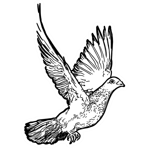 Site Icon